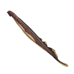 Willow Lamprey.png