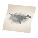 Sketch of a Whale.png