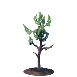 Sapling Pine Tree - Official Palia Wiki