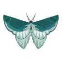 Common Blue Butterfly.png