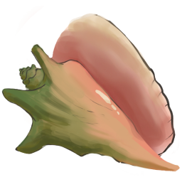 Flotsam Conch.png