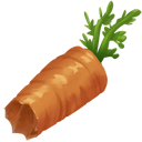 Half Eaten Carrot.png