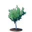 Sapling Birch Tree.png