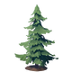 Young Pine Tree.png