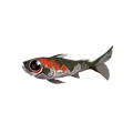 The icon of Sardine in the in-game inventory.