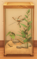 Ein Bild von Inky Dragonfly im Spiel.
