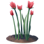 Tulip Flower.png