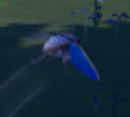 An in-game look at Cerulean Cicada when found in the wild.