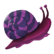 Stripeshell Snail