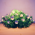 An in-game look at Gardenia Flower.