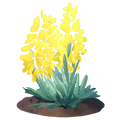 The icon of Forsythia Flower in the in-game inventory.