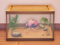 An in-game look at Princess Ladybug.
