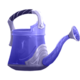 Exquisite Watering Can