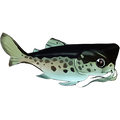 The icon of Spotted Bullhead in the in-game inventory.