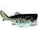 Spotted Bullhead.png