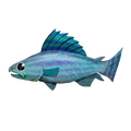 The icon of Rainbow Trout in the in-game inventory.