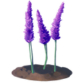 The icon of Lavender Flower in the in-game inventory.