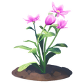The icon of Anemone Flower in the in-game inventory.