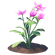 Anemone Flower.png