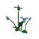 Trillium Flower.png