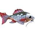 The icon of Kenli's Carp in the in-game inventory.
