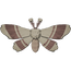 65px-Kilima_Night_Moth.png