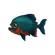 Red-bellied Piranha.png