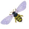 Bahari Bee