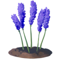 The icon of Chapaatail Flower in the in-game inventory.