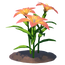 Tiger Lily Flower.png