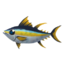 Yellowfin Tuna.png