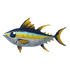 Yellowfin Tuna.png
