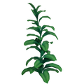 The icon of Bahari Nettle Flower in the in-game inventory.