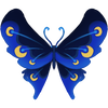 Duskwing Butterfly