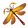 Firebreathing Dragonfly
