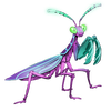Fairy Mantis