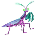 The icon of Fairy Mantis in the in-game inventory.