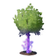 Young Flow Oak Tree.png