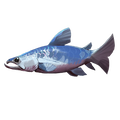 The icon of Silver Salmon in the in-game inventory.