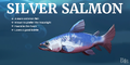 Silver Salmon Reveal Card [1]