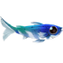 Cloudfish.png
