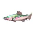 The icon of Prism Trout in the in-game inventory.
