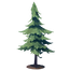 Adult Pine Tree.png