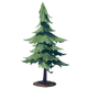 Adult Pine Tree.png