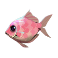 The icon of Bahari Bream in the in-game inventory.