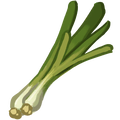 The icon of Wild Green Onion in the in-game inventory.