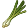 Wild Green Onion.png