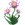 Briar Daisy.png