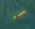 An in-game look at Garden Millipede when found in the wild.
