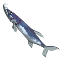The icon of Barracuda in the in-game inventory.